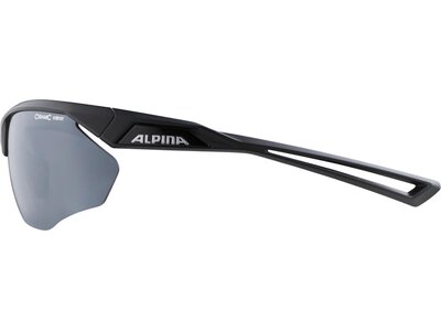 ALPINA Brille ALPINA NYLOS Grau