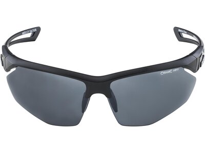 ALPINA Brille ALPINA NYLOS Grau