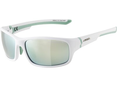 ALPINA Herren Brille LYRON S Silber