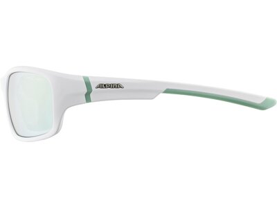 ALPINA Herren Brille LYRON S Silber