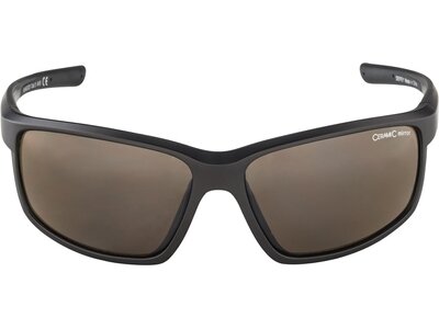 ALPINA Herren Brille DEFEY Braun
