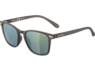 ALPINA Herren Brille YEFE Grau