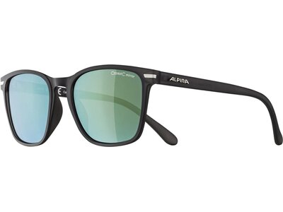 ALPINA Herren Brille YEFE Grau