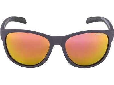 ALPINA Herren Brille NACAN II Grau