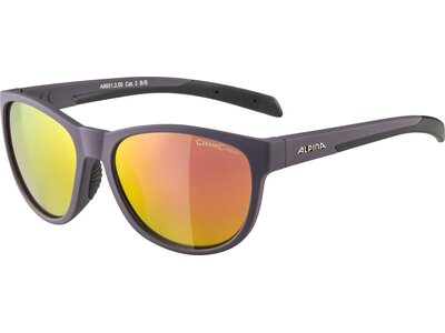 ALPINA Herren Brille NACAN II Grau