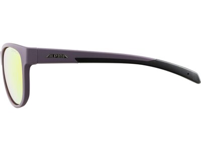 ALPINA Herren Brille NACAN II Grau