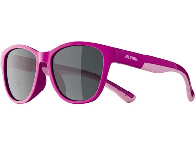 ALPINA Kinder Brille FLEXXY COOL KIDS II Pink