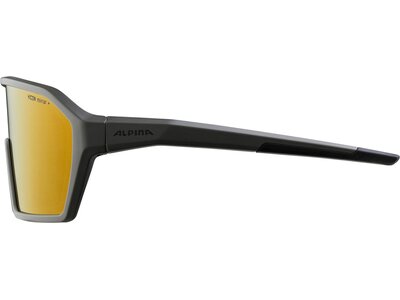 ALPINA Herren Brille ALPINA RAM HM+ Braun