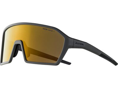 ALPINA Herren Brille ALPINA RAM HM+ Braun