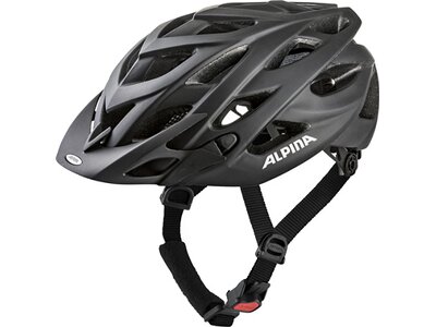 ALPINA Radhelm / MTB-Helm D-Alto L.E. Grau