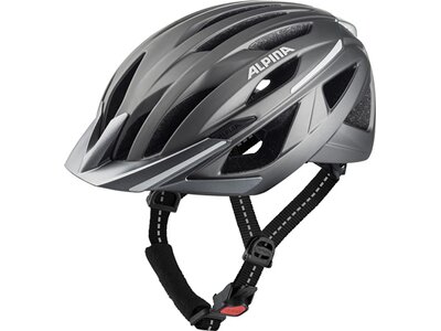 ALPINA Herren Radhelm "Haga" Grau