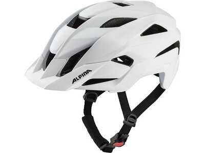 ALPINA Helm KAMLOOP Grau