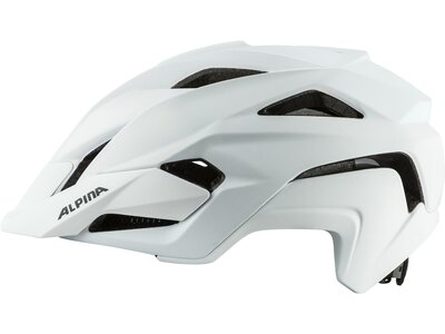 ALPINA Helm KAMLOOP Grau
