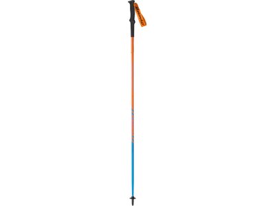 DYNAFIT Wanderstock Vertical Pole Bunt