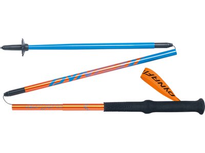 DYNAFIT Wanderstock Vertical Pole Bunt