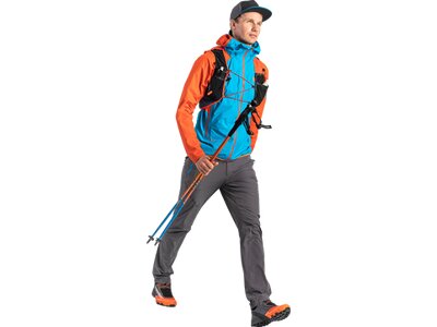 DYNAFIT Wanderstock Vertical Pole Blau