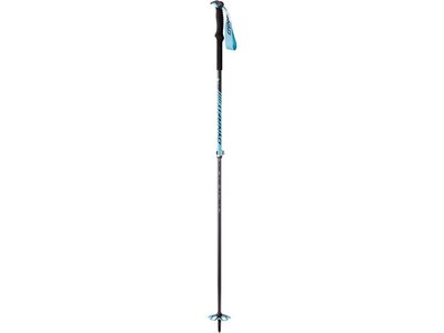 DYNAFIT Tourenskistöcke Free Vario Pole Blau