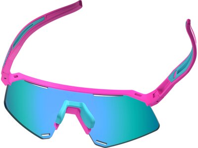 DYNAFIT Herren Brille Ultra Evo Sunglasses Bunt