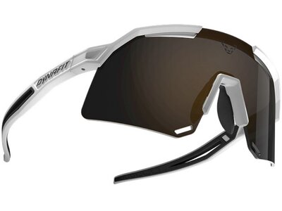 DYNAFIT Herren Brille Ultra Sunglasses Bunt