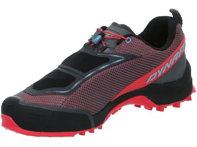 DYNAFIT Herren Trailrunningschuhe SPEED Grau