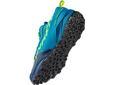 DYNAFIT Herren Trailrunningschuhe ULTRA 100 Blau