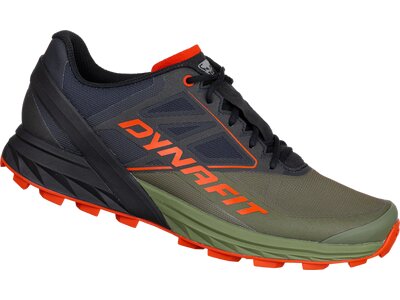 DYNAFIT Herren Trailrunningschuhe ALPINE Grün