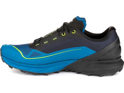 DYNAFIT Herren Trailrunningschuhe ULTRA 50 GTX Schwarz