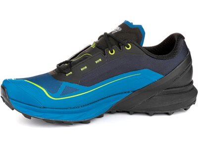 DYNAFIT Herren Trailrunningschuhe ULTRA 50 GTX Schwarz