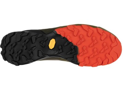 DYNAFIT Herren Trailrunningschuhe TRANSALPER Bunt