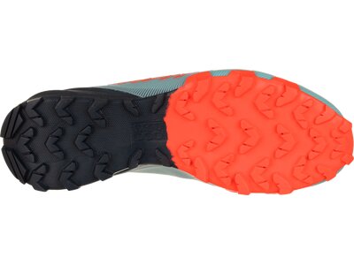 DYNAFIT Damen Trailrunningschuhe TRAVERSE W Bunt