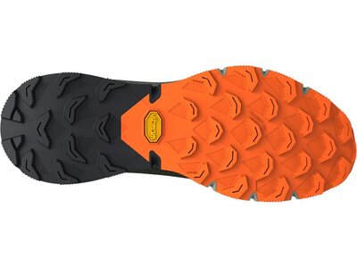DYNAFIT Herren Trailrunningschuhe ULTRA 100 Bunt