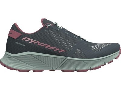 DYNAFIT Herren Trailrunningschuhe ULTRA 100 GTX W Bunt
