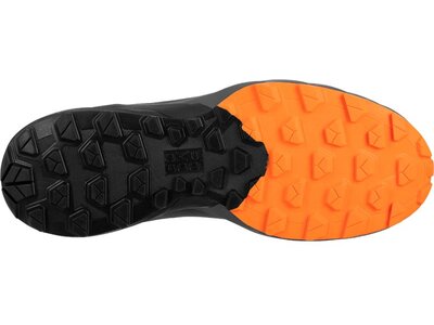 DYNAFIT Herren Trailrunningschuhe ULTRA 50 REFLECTIVE GTX Bunt