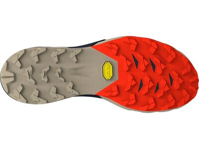 DYNAFIT Herren Trailrunningschuhe ALPINE PRO 2 Bunt