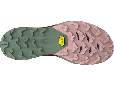 DYNAFIT Damen Trailrunningschuhe ALPINE PRO 2 W Bunt