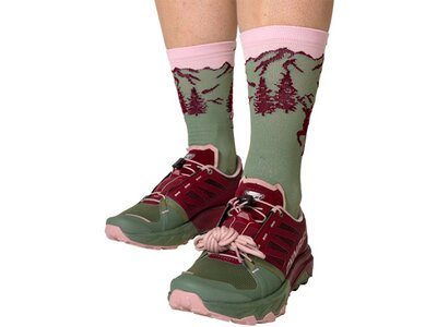 DYNAFIT Damen Trailrunningschuhe ALPINE PRO 2 W Bunt