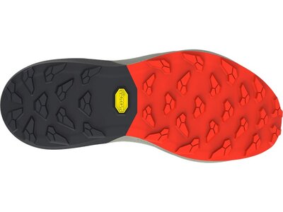 DYNAFIT Herren Trailrunningschuhe ULTRA PRO 2 Bunt
