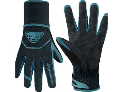 DYNAFIT Herren Handschuhe MERCURY Schwarz