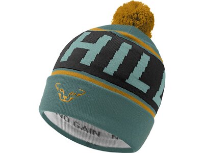DYNAFIT SKIUPHILL BEANIE Grau