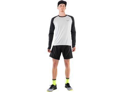 DYNAFIT Herren Shirt ALPINE PRO M L/S TEE Braun