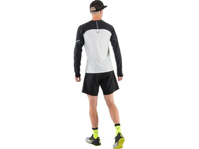 DYNAFIT Herren Shirt ALPINE PRO M L/S TEE Braun