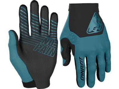 DYNAFIT Herren Handschuhe RIDE GLOVES Blau