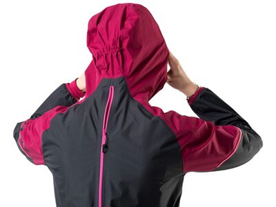 DYNAFIT Damen Funktionsjacke ALPINE GTX W JKT Rot