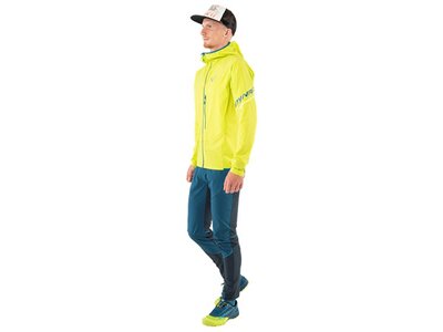 DYNAFIT Herren Funktionsjacke TRAVERSE GTX JKT M Grün