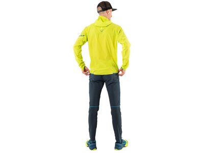 DYNAFIT Herren Funktionsjacke TRAVERSE GTX JKT M Grün