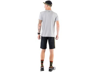 DYNAFIT Herren Shorts TRAVERSE DST SHORTS M Grün