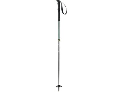 ELAN Kinder Alpin-Skistock Tour Carbon Rod Schwarz