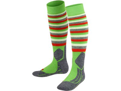 FALKE SK2 Stripes Kinder Kniestrümpfe Grün