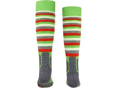 FALKE SK2 Stripes Kinder Kniestrümpfe Grün