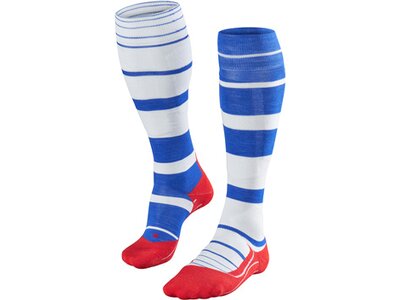 FALKE Damen Skistrümpfe "SK4 Degrade" Grau